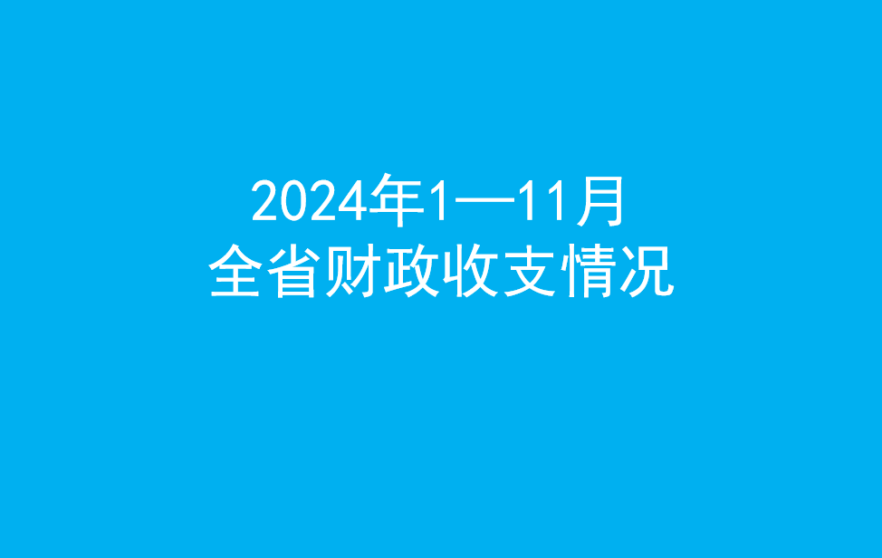 2024年1—11月全省财政收支情况